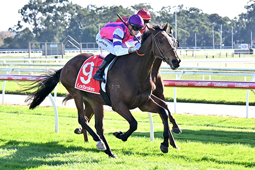 ZINOVATION BREAKS THROUGH FOR WELL DESERVED WIN!.